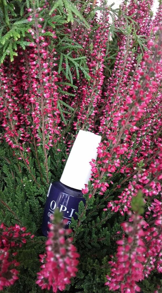 Galeria ATELIER URODY - CZTERY PORY ROKU