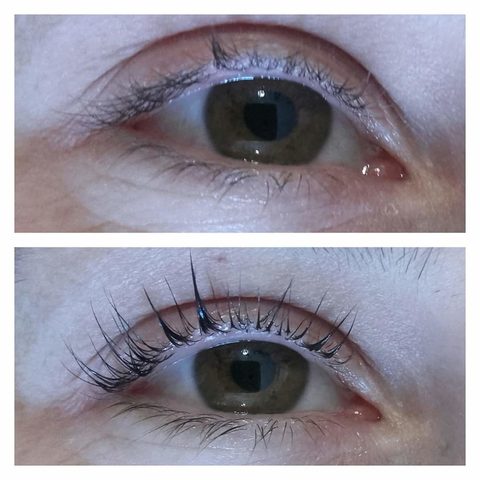 Galeria ATELIER URODY - CZTERY PORY ROKU